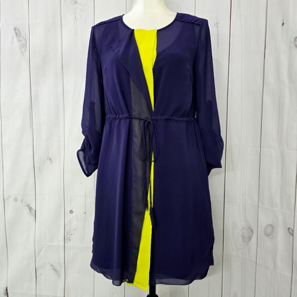 Isani Lavender and Lime Green Sheer Dress